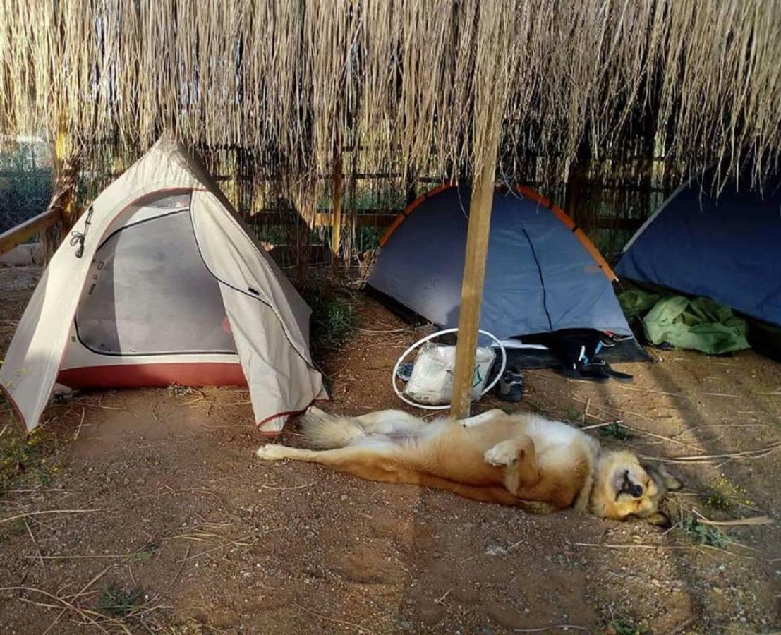 Chillsteps Hostel เฟทิเย ภายนอก รูปภาพ